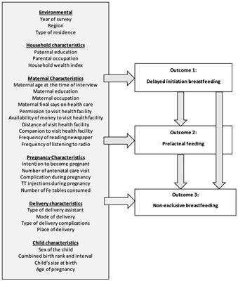 The multiple factors of suboptimal early feeding practices among infants aged 0–5 months in Indonesia